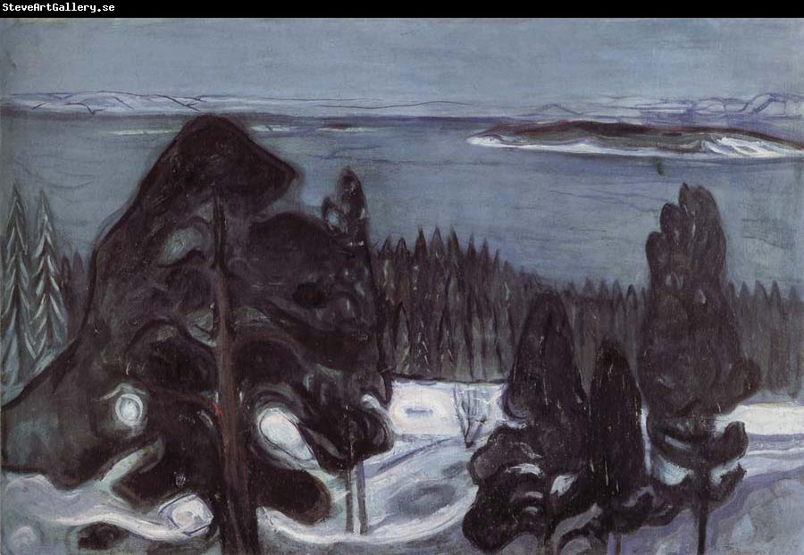 Edvard Munch Winter night